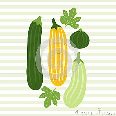 Cartoon Zucchini. Colored Vector Illustration EPS Vector Illustration