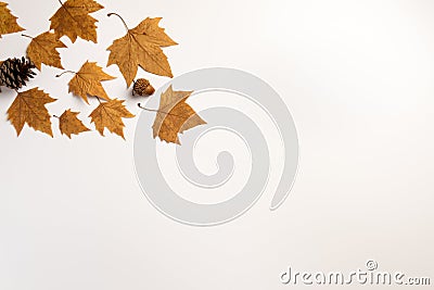 Template for fall festival, poster, web, invitation, flyer, Happy Thanksgiving, Stock Photo