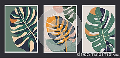 Set of trendy minimalistic posters with monstera leaves Vector Illustration