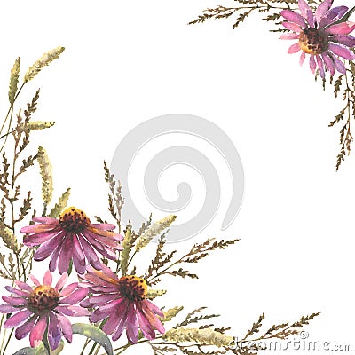 Template for invitations, postcards. Composition of watercolor echinacea flowers and field herbs, with empty space for Stock Photo