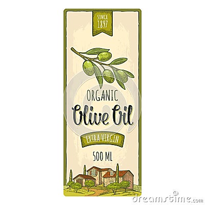 Template olive label. Branch with leaves. Rural landscape color engraving Vector Illustration