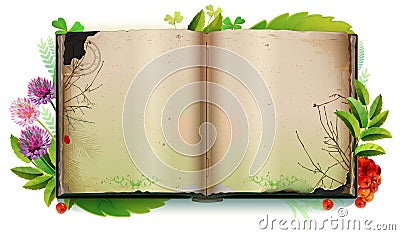 Template open book blank sheet page herbarium collection plant Vector Illustration