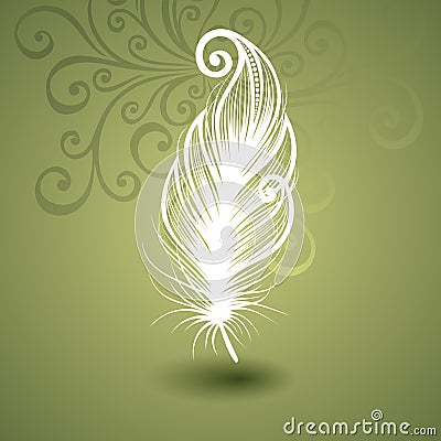 Template with Peerless Feather in Ornate Background Vector Illustration