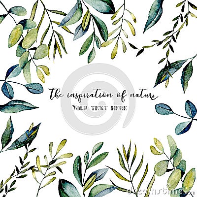 Template postcard with eucalyptus branches and other green plants watercolor illustration Cartoon Illustration