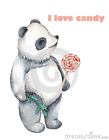 Template of postcard with watercolor illustration panda and lollipop Cartoon Illustration