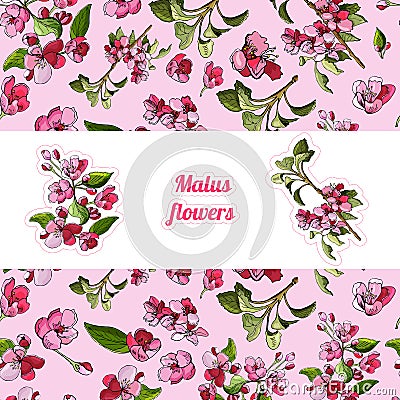 Template with seamless pattern and stickers of blossoming pink branch of apple tree and flowers. Hand drawn colored sketch. Vector Illustration