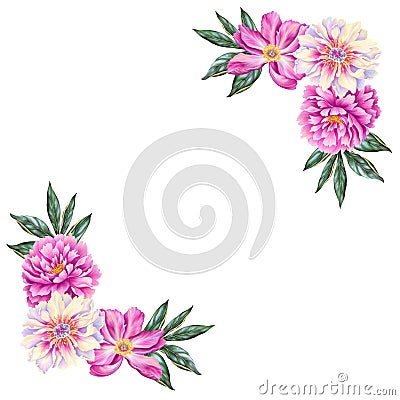 Template for text with beautiful peony. Frame or border with pink flowers with leaves. Realistic high quality botanical Cartoon Illustration