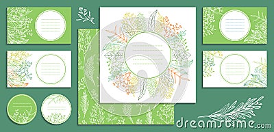 Templates for greeting and business cards, brochures, covers, labels with wildflowers, leaves and herbs Vector Illustration