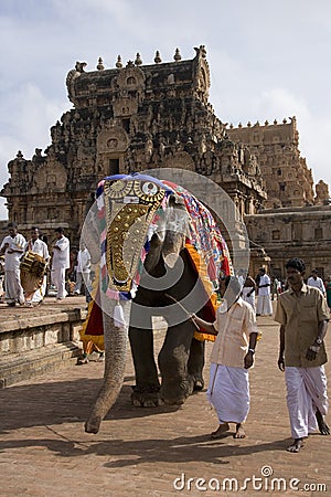 Temple Elephant - Thanjavur - India Editorial Stock Photo