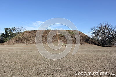 Temple Mound from Mound D at Kolomoki Mounds Stock Photo