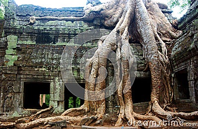 Temple ruins, Angkor wat, Cambodia Stock Photo