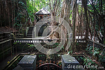 Temple in the Monkey Forest, Ubud, Bali, Indonesia Stock Photo