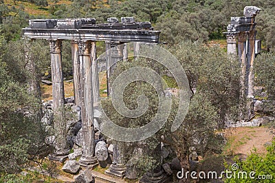 Temple of Zeus Lepsinos Euromus Turkey Stock Photo