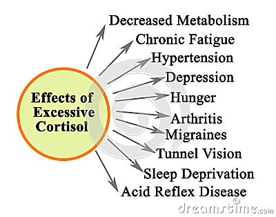 Effects of Excessive Cortisol Stock Photo