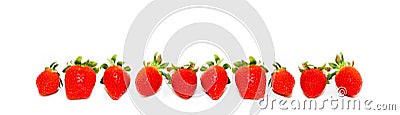Ten fresh and natural red strawberries isolated on a seamless wide panorama frame format white background. Stock Photo