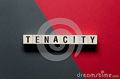 Tenacity word concept on cubes Stock Photo