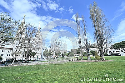 Severe Weather Damaged downed Trees Washington Square San Francisco 2 Stock Photo