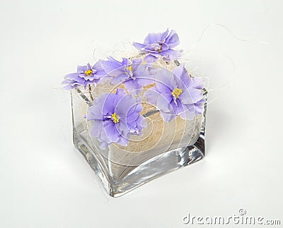 Tender curly purple violets Stock Photo