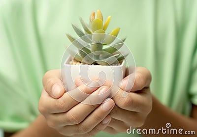 In tender embrace, the girl's hand gently gripped the small potted plant, Stock Photo