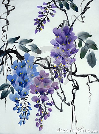 Tender flowering wisteria Stock Photo