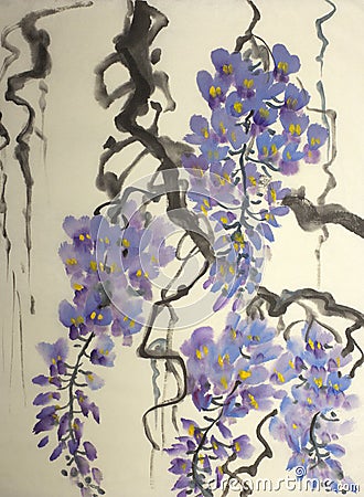 Tender flowering wisteria Stock Photo