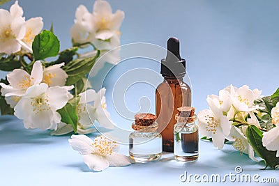 Tender jasmine flowers and oil. Small bottle with cosmetic cleansing aroma oil and white jasmine flowers. Natural skin care, Stock Photo