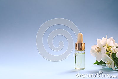 Tender jasmine flowers and oil. Small bottle with cosmetic cleansing aroma oil and white jasmine flowers. Natural skin care, Stock Photo