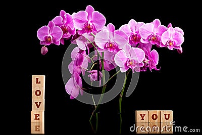 Tender Love You background Stock Photo