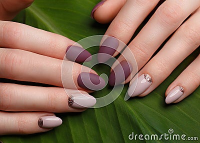 Tender neat manicure on female hands on green leaves background. Nail design Stock Photo