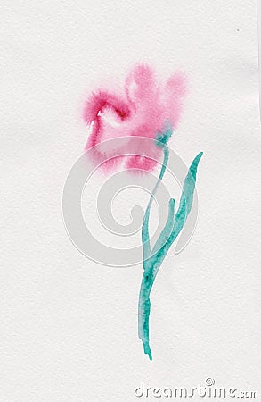 Tender Rosy Watercolor Flower Stock Photo
