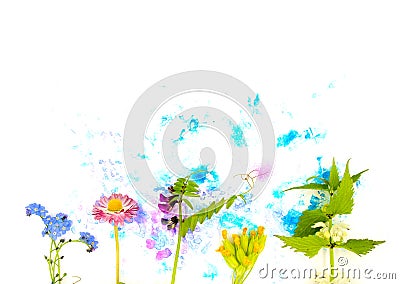 Tender spring dead-nettle, daisy, and other may flowers and hand painted blue and pink watercolor blot spot. Decor element Stock Photo