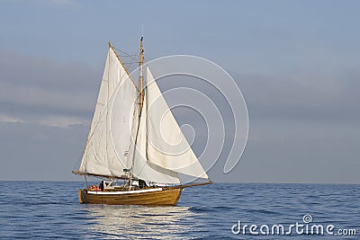 Tender with white sails Stock Photo