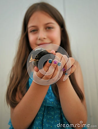 Tenderness concept image with girl holding a baby quail chick on a summer day Stock Photo