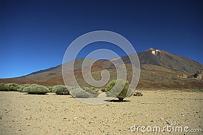 Tenerife Teide Nationalpark Stock Photo