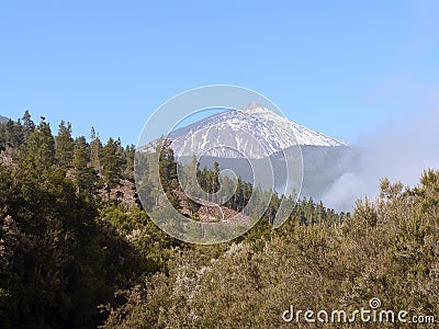 Teneriffe Stock Photo