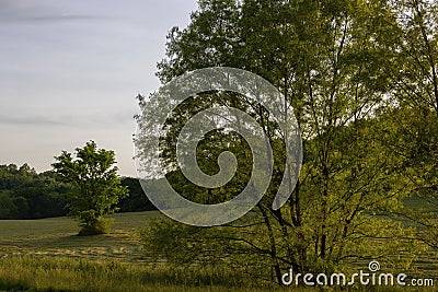 Evening sunlight in Tennessee rural country landscapes Stock Photo
