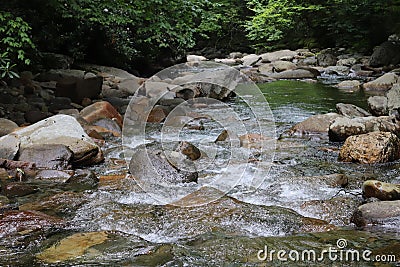 Tennessee Streams Summertime Stock Photo