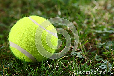 Tennis ball on green grass Stock Photo