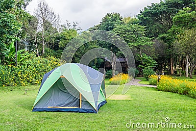 Tent camping relaxing on lawn backyard Stock Photo