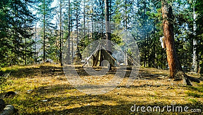 Tent in the forest Stock Photo