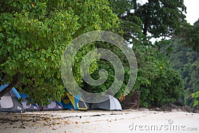 Tent set on sand beach for staying overnight and with tree cover Stock Photo