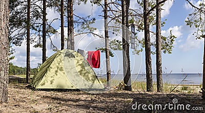 Tent stands in a pine forest on the sea shore near the sandy beach Stock Photo