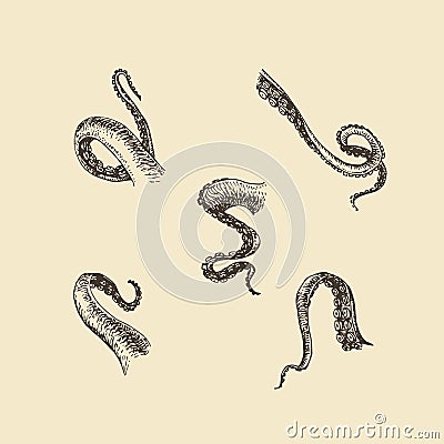 Tentacle drawings set. Feeler sketches in vector. Vector Illustration