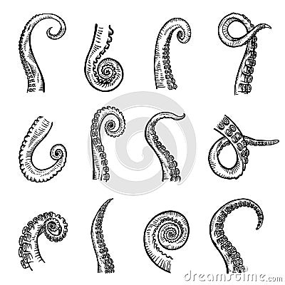 Tentacle set slender flexible limb octopus parts Cartoon Illustration