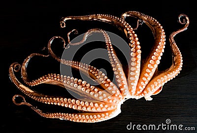 Tentacles of boiled octopus on dark table Stock Photo