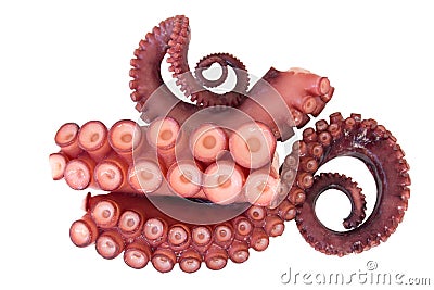 Tentacles of octopus Stock Photo
