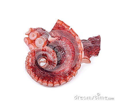Tentacles of octopus on white background Stock Photo