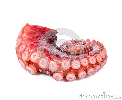 Tentacles of octopus on white background Stock Photo