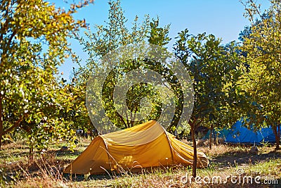 Tents in the camping Stock Photo