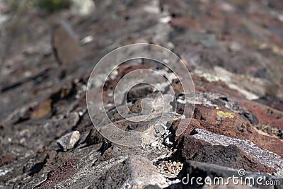 Teotihuacan pyramid mexico Stock Photo